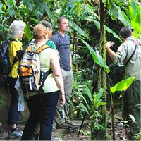 Full Day to Selvatura Monteverde Cloud Forest from Guanacaste