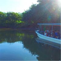 Palo Verde RiverRide From Guanacaste