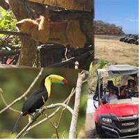 Beach-mountain &amp; Sloth Refuge Buggy Tour