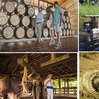 Palo verde river cruise, sugarcane liquor and cultural combo tour.