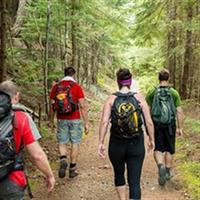 Half-Day Wildlife Hiking Tour of Cahuita National Park