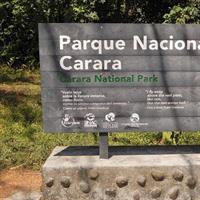 Carara National Park Birdwatching Group Guided Tour Experience.