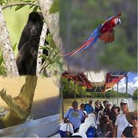 Costa Rican Wildlife: Palo Verde National Park Private Tour