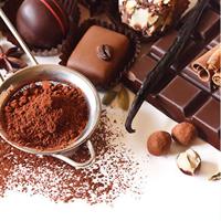 Chocolate Workshop. Private Tour from San Jose
