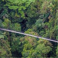 Full Day tour of the Arenal Volcano from La Fortuna