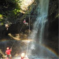 Rainforest Falls &amp; Rafting Class II &amp; III