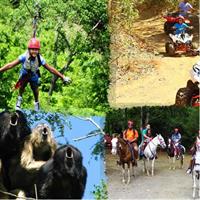 Family Fun Four Pack Combo