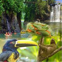 Private Sloth Encounter Waterfall And Corobici Floating Tour