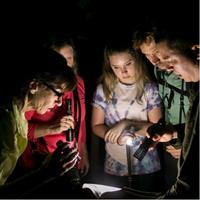 All-Inclusive Jungle Night Tour