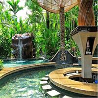 Arenal Volcano and Hot Springs. Private Tour