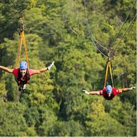 Combo: Day Trip to Hanging Bridges + ZipLine in Monteverde
