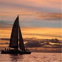 All inclusive Catamaran Sunset Sail - (Drinks, Food, Snorkel)