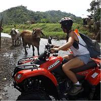 3 hrs ATV Tour