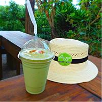 2in1 Tour: Avocado Farm + Private Tour in Antigua Guatemala