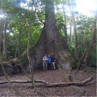 Yaxha VIP Exclusive Sunset Tour from Flores Guatemala