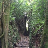 Mombacho Volcano Hike and Ziplining Adventure from San Juan del Sur