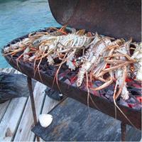 Cook Your Catch-Private Island Picnic