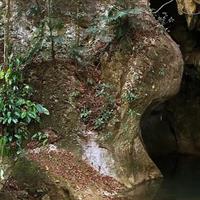 Actun Tunichil Muknal Cave with Local Lunch from San Ignacio