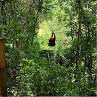 Cave &amp; Zip line extreme from Belize city