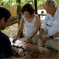Cocoa farm and Chocolate making!