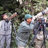 Birding Tour