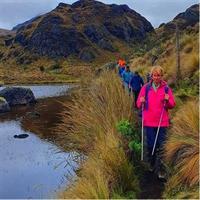 Cajas National Park and Cuenca City private Tour