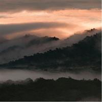 Bellavista Cloud Forest Reserve - full day