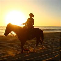 Cabo Desert Off-Road &amp; Beach Horseback Combo and Tequila Tasting