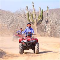 Cabo Candelaria Village Adventure + Tequila Tasting