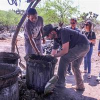 Private Tour of the Mezcal Route with Ancestral Drinks
