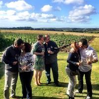 Wine Lovers - Punta Wine Experience