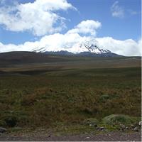 Antisana Condor Sanctuary &amp; Hummingbird Observatory day trip