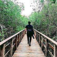 Churute Mangrove Ecological Reserve and Cocoa Farm