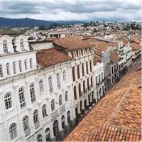 Birdwatiching Full day from Cuenca