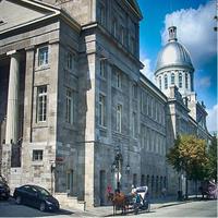 Half day private city tour - SUV