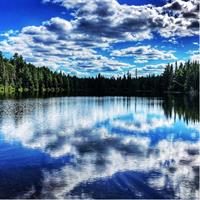 Algonquin Provincial Park Day Tour from Toronto