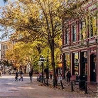 3 hours Private Sightseeing Tour-from YVR Airport or Cruise Port