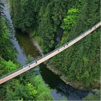 Capilano Suspension Bridge + Grouse Mountain Tour