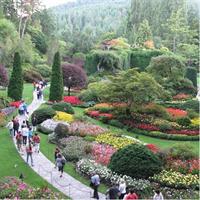 Fully narrated tour of Butchart Gardens and Saanich Peninsula