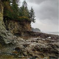 Sooke to Port Renfrew: Wild Pacific Adventure