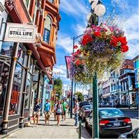 After The Gold Rush - Victoria Outdoor Escape Game