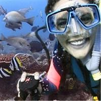3-Hour Byron Bay Certified Scuba Diving Tour