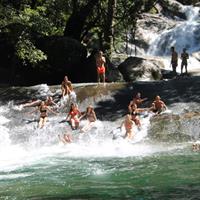 All Inclusive Waterfalls and Rainforest Tour from Cairns
