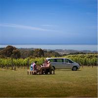 View of Auckland and Melbourne for Foodies