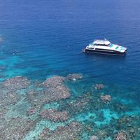 Calypso Outer Great Barrier Reef Cruise from Port Douglas