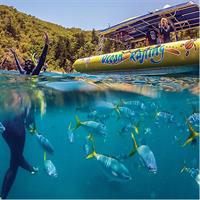 Ocean Rafting: Whitehaven Beach, Snorkelling &amp; Hill Inlet Lookout