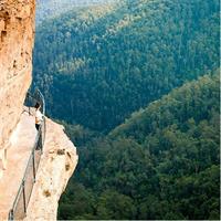 Beauty of the Blue Mountains Private Tour