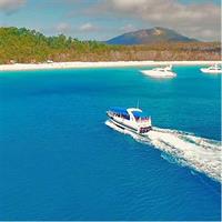 Snorkel &amp; Whitehaven Beach Eco Cruise, Lunch | From Airlie Beach