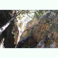 Juggler Canyon and Abseiling Adventure Blue Mountains