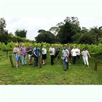 Barefoot Luxury Mount Tamborine Winery Tour from Brisbane